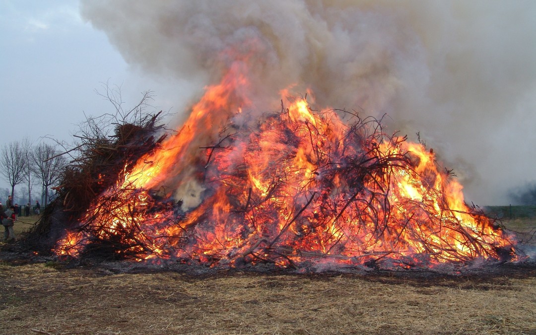 Das Osterfeuer – für viele das Highlight an Ostern, für manches Tier eine Feuerfalle